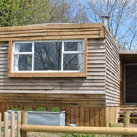 Cosy And Rural Lodge At Goldhill Glamping Shaftesbury Exterior photo